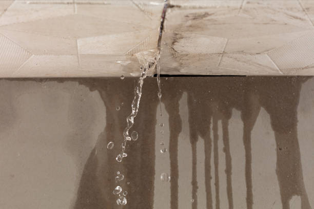 Professional Water Extraction technician working in Tilleda, WI